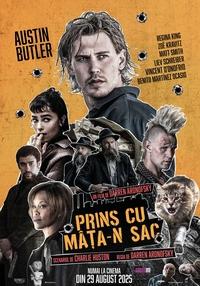 Poster Prins cu mâța-n sac