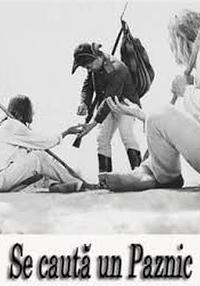 Poster Se caută un paznic