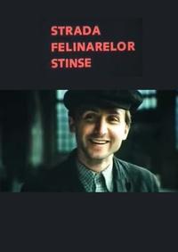 Poster Strada felinarelor stinse